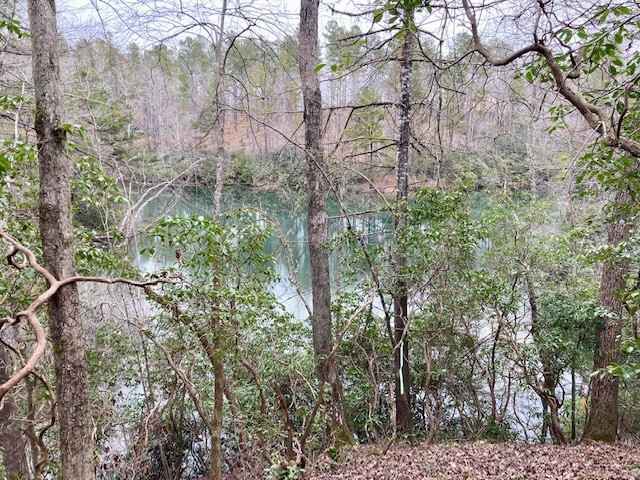 Lot 42R Turtlehead Drive