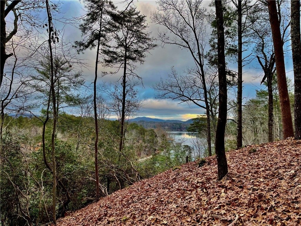 Lot 44R Turtlehead Drive