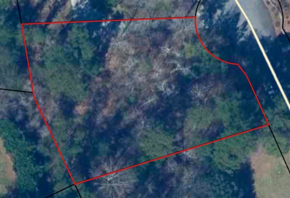 205 Mockingbird Street