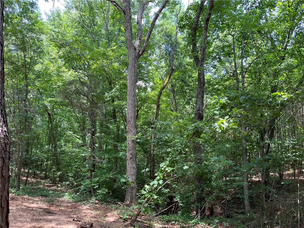 00 Madison Shores Drive