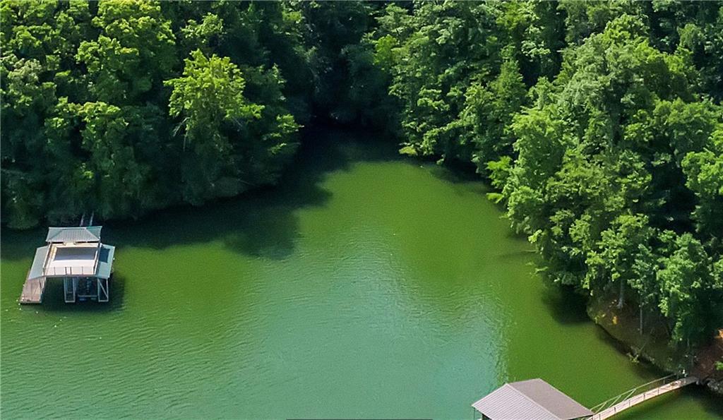 00 Loblolly Pine Drive