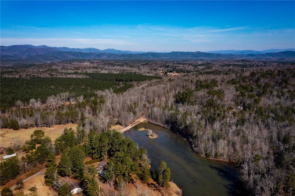 00 The Bear Boulevard