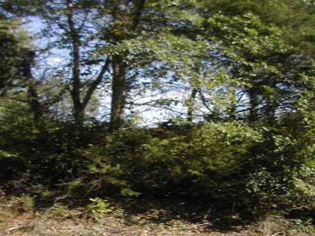 101 Plantation Pointe