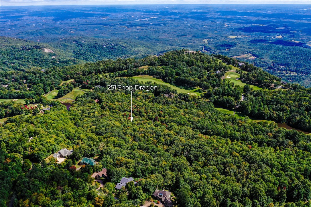 251 Snap Dragon Way