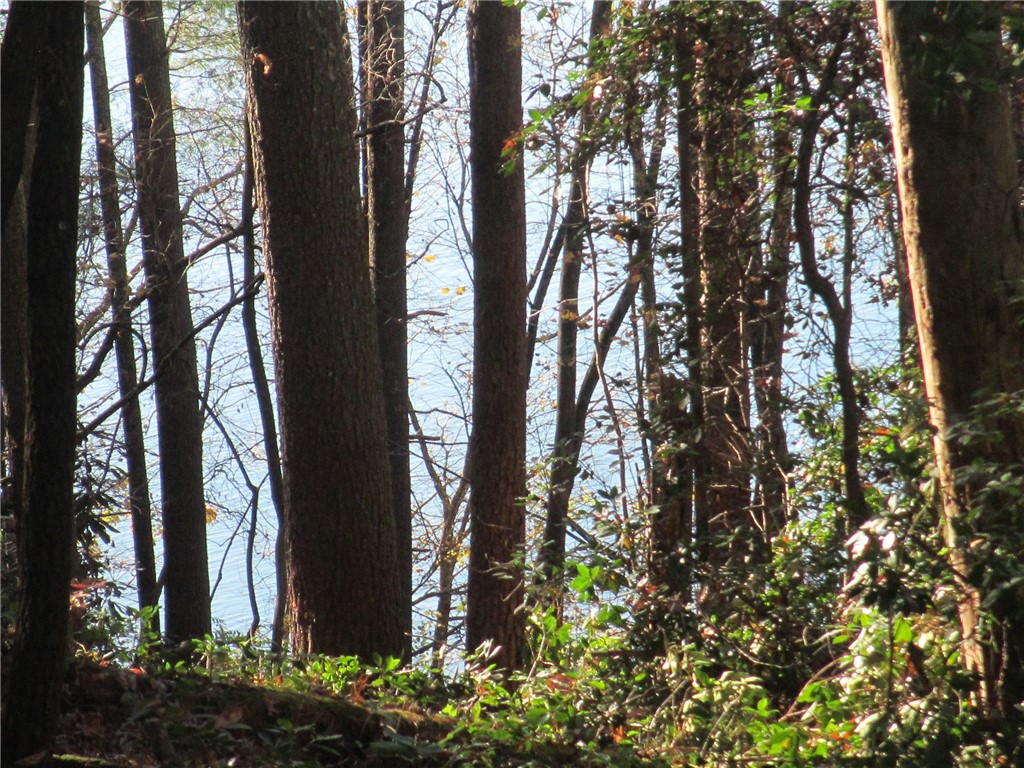 Lot 15 F Cherokee Ridge Road