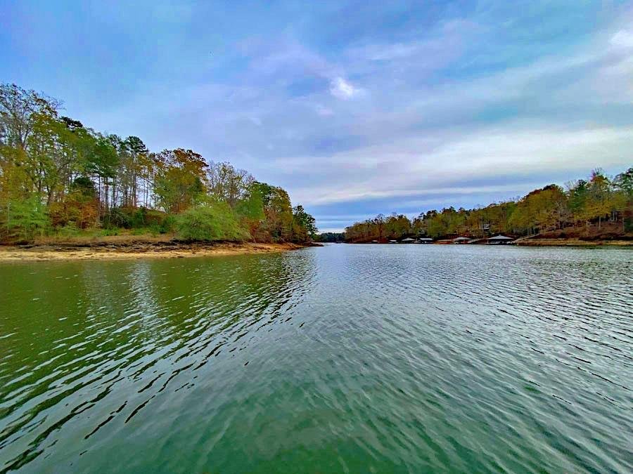 Lot 8 Coves End Point