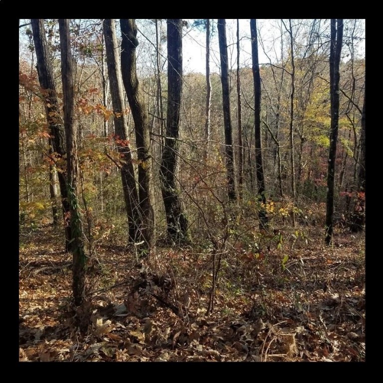 Lot #7 Keowee Harbours Access Rd Road