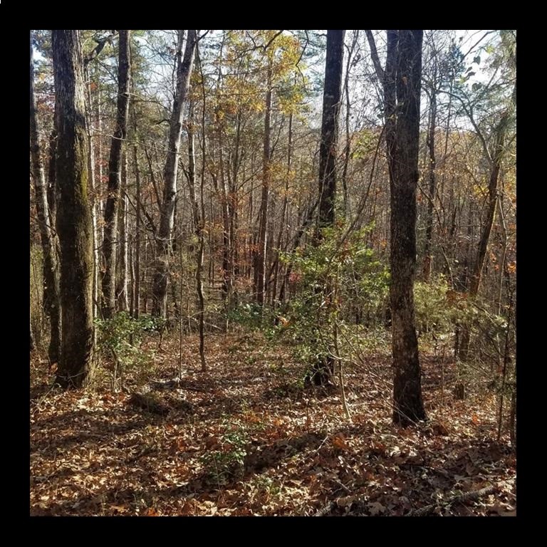 Lot #8 Beacon Ridge Circle