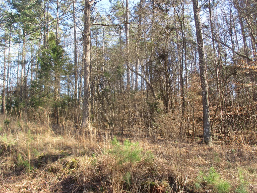 0 Mountain View Drive