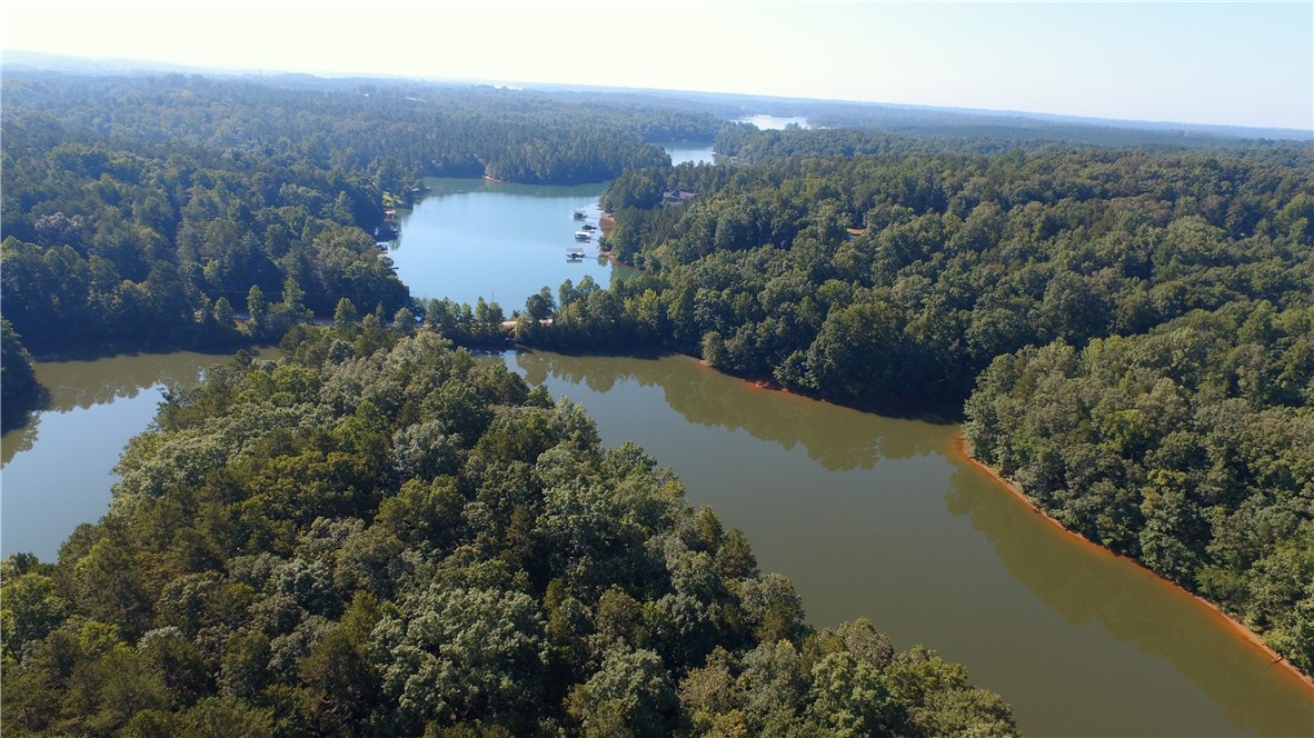 00 Bird Feather Lane