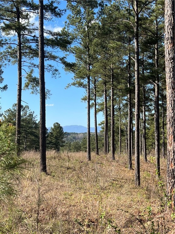 Lot # 51 Highlands Ridge Road