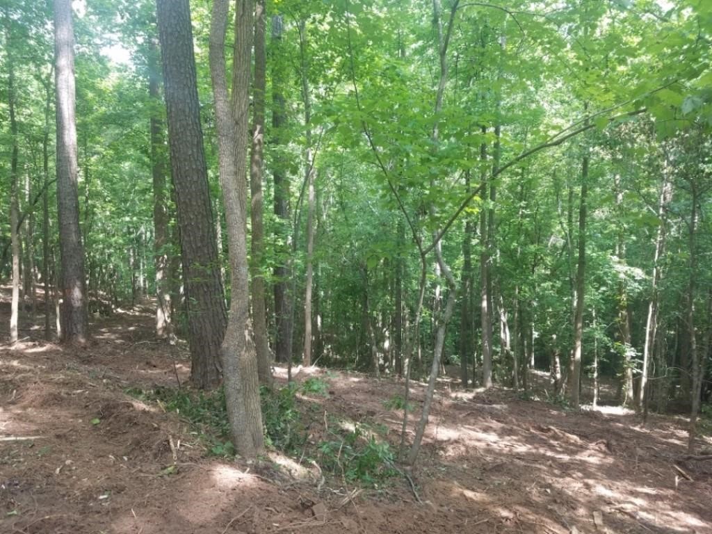 Lot 31 Cleveland Ferry Road