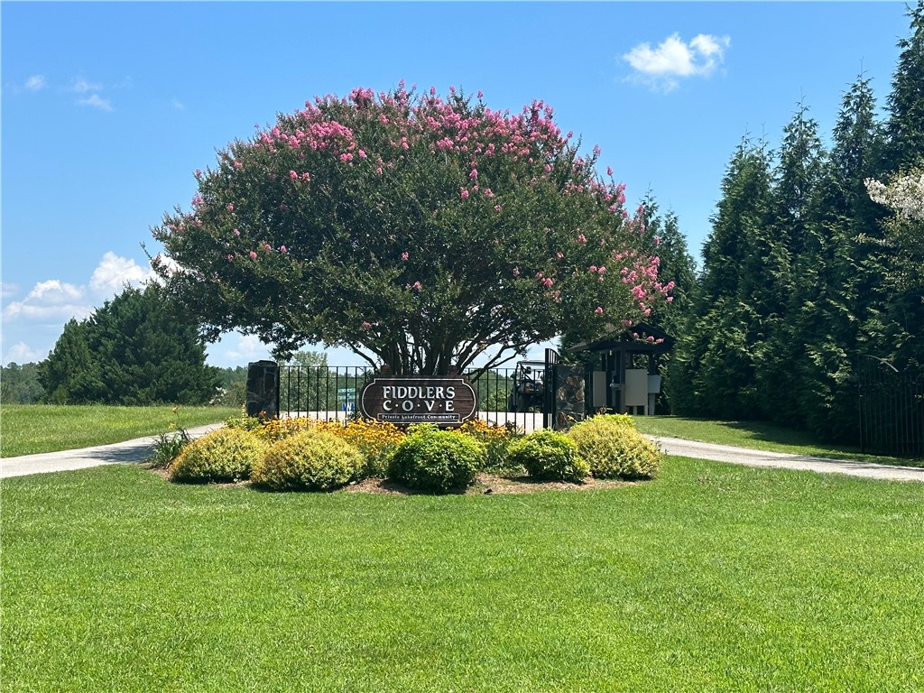 1 A The Bear Boulevard