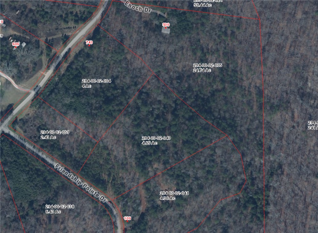 107 Friendship Pointe Drive