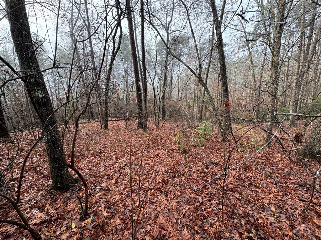 Lot 20 Old Shallowford Bridge Road