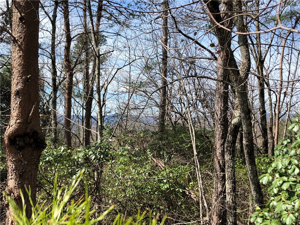 S56 Stone Terrace Way