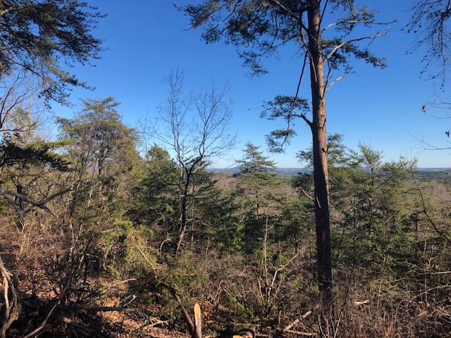 S52 Stone Terrace Way