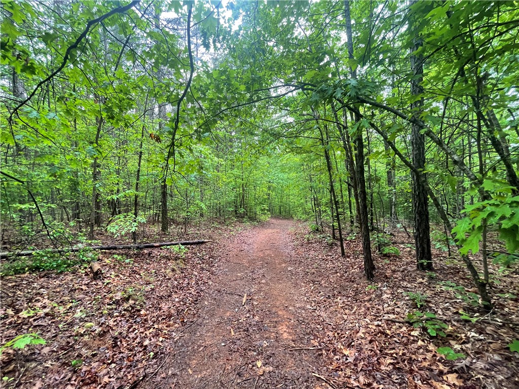 1U The Bear Boulevard