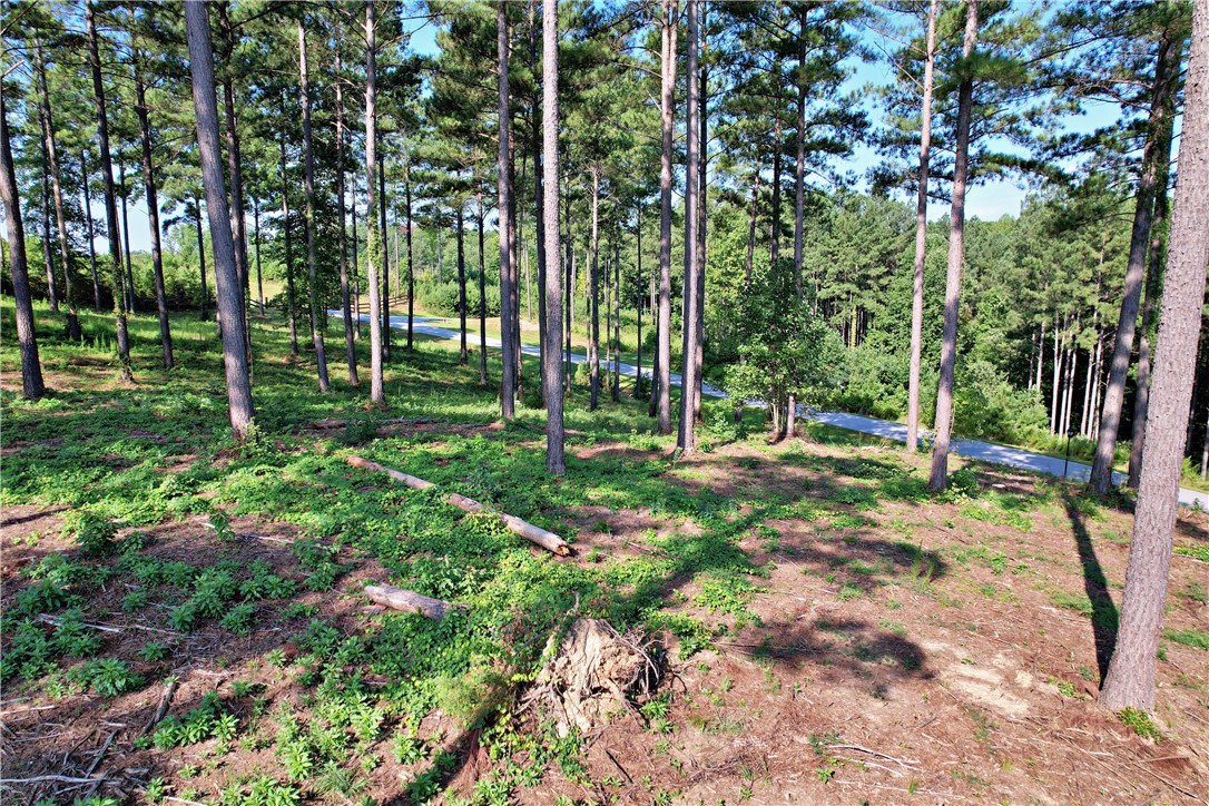 Lot 2 Little Keowee Boulevard