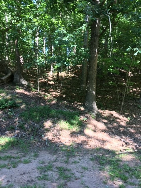 Property at 118 N Foxglove Road, Westminster, SC 29693