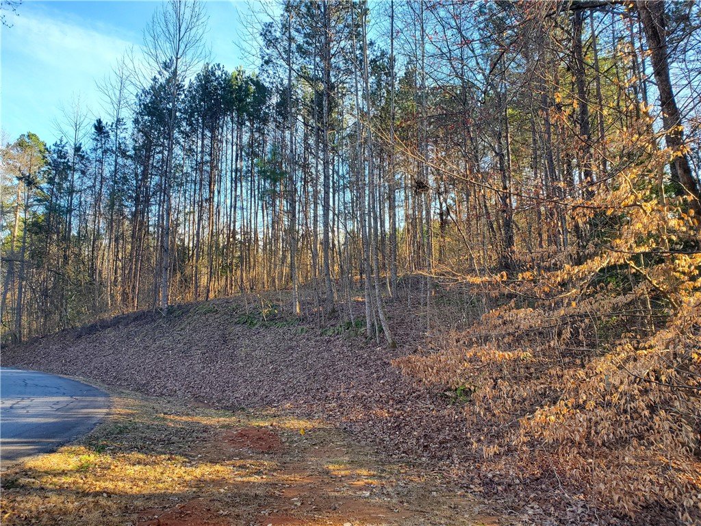 Lot 28 Talons Ridge Road