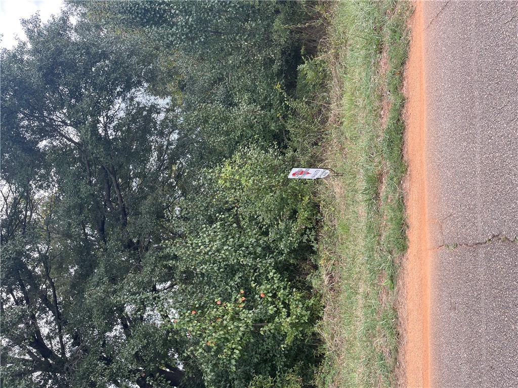 Lot 100 Hickory Lane