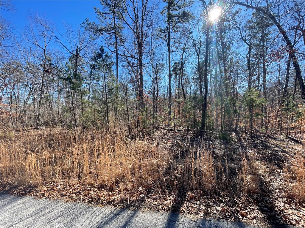 Property image 1 at 06 Sixteenth Circle, Walhalla, SC 29691