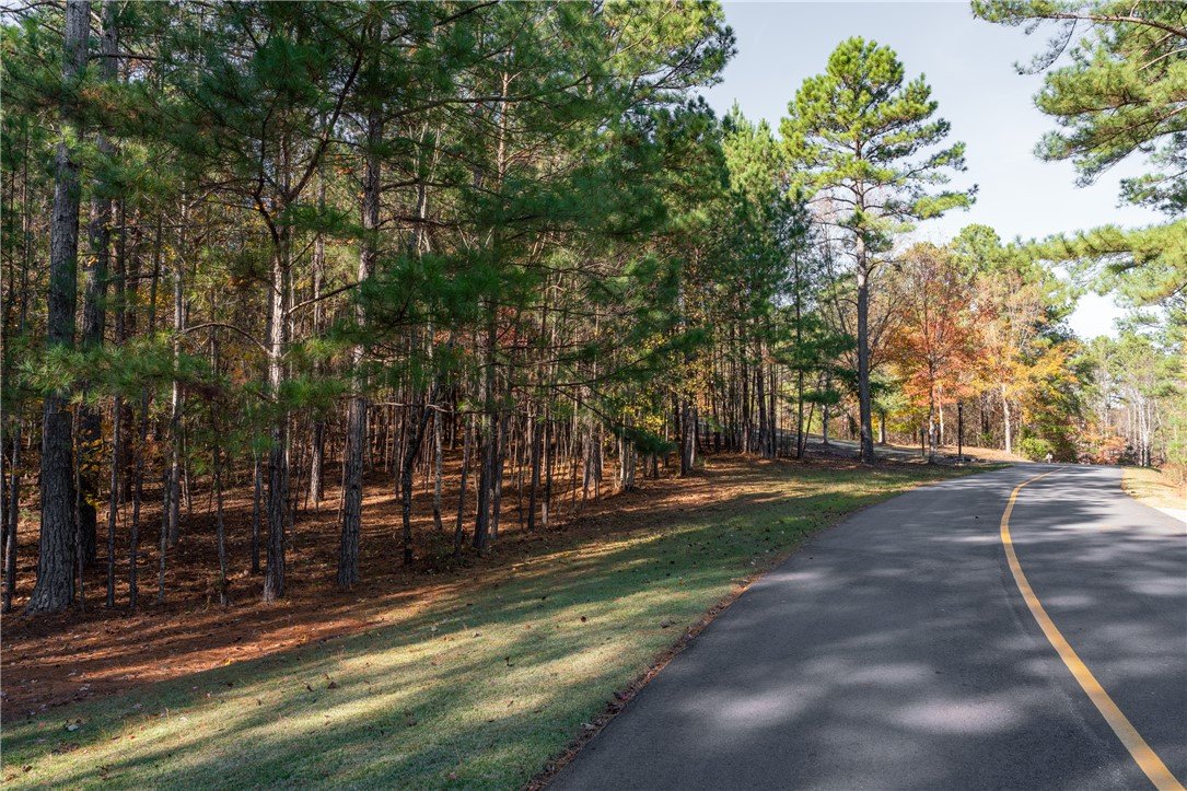 Lot 39 Golden Bear Drive