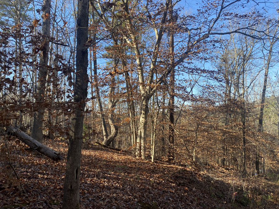 0 Horseshoe Bend Drive