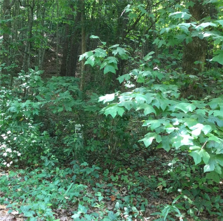 Lot 32 Den Ridge Drive