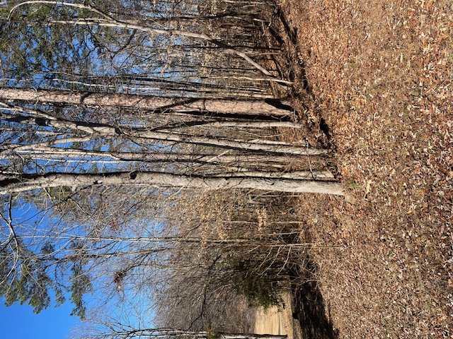 Property at 506 Chickasaw Drive, Westminster, SC 29693