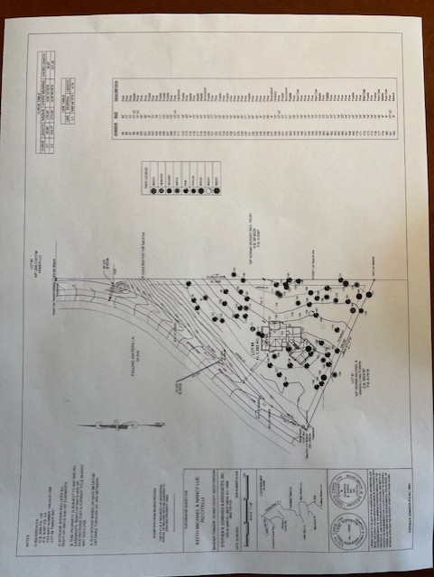 915 Falling Waters Lane