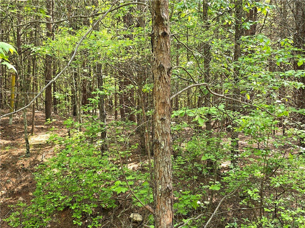 117 Pleasant Valley Drive