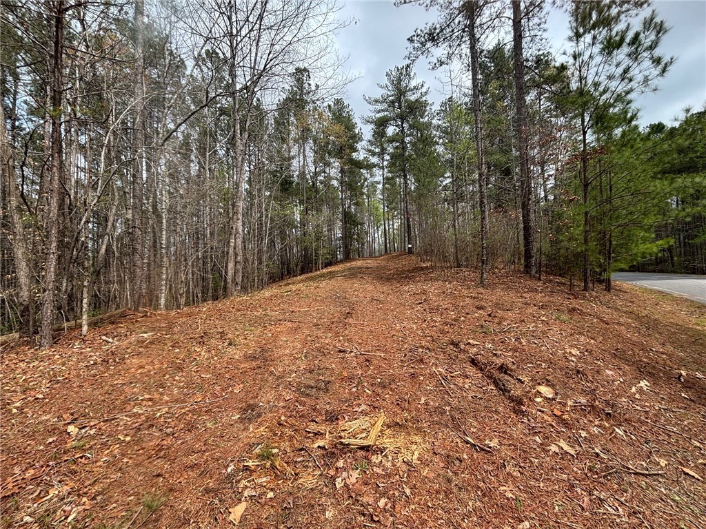 Property image 1 at 323 Long Cove Trail, Salem, SC 29676