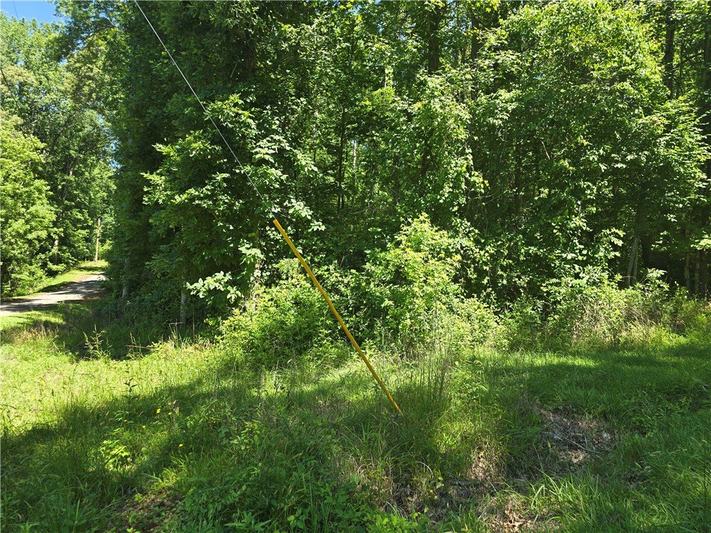 Property image 1 at Lot 44 Mckenzie Drive, Anderson, SC 29624