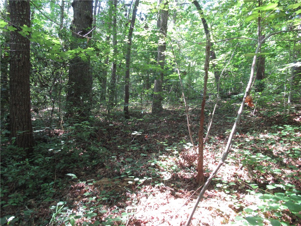 00 Gauley Falls Road