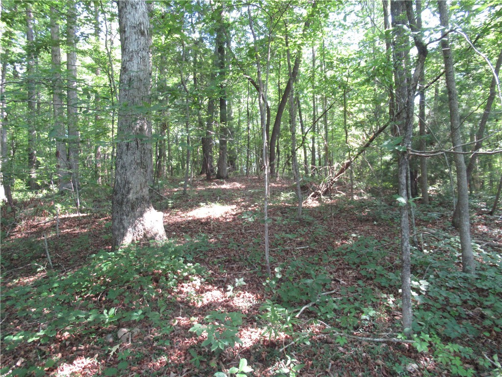 205 Gauley Falls Road