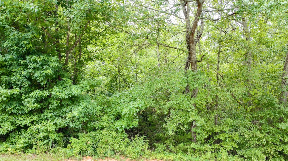 Property image 1 at 00 Country Glen Lane, Pelzer, SC 29669