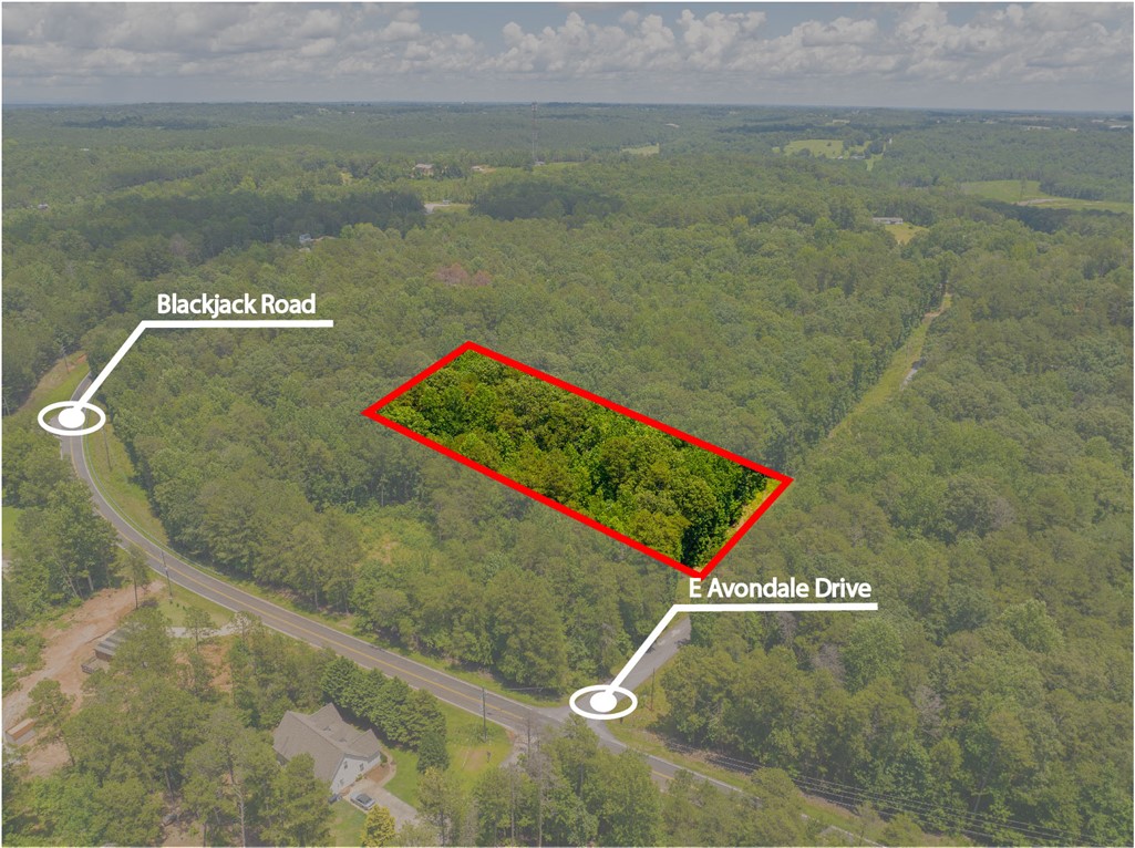 Property at 132 E Avondale Drive, Westminster, SC 29693