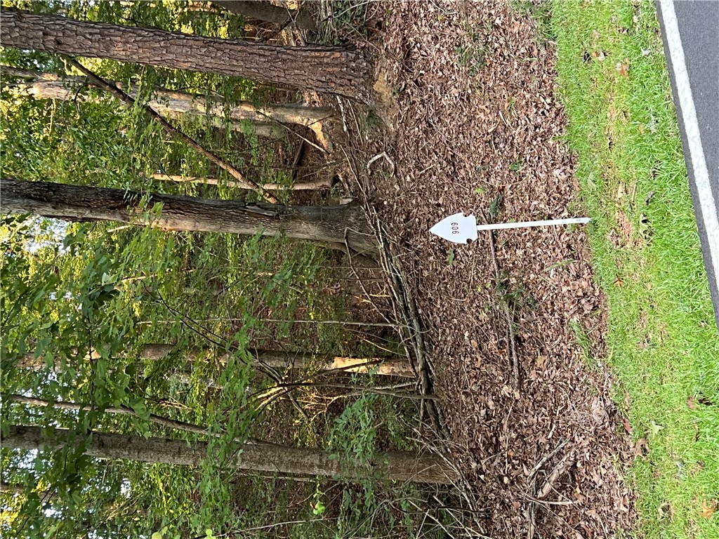 Property at 909 S Hogan Drive, Westminster, SC 29693