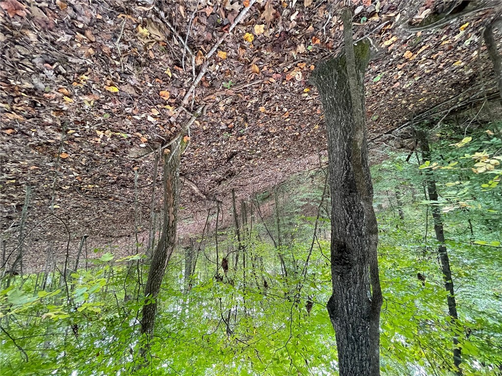 Lot 296 Chickasaw Point Oconee Avenue