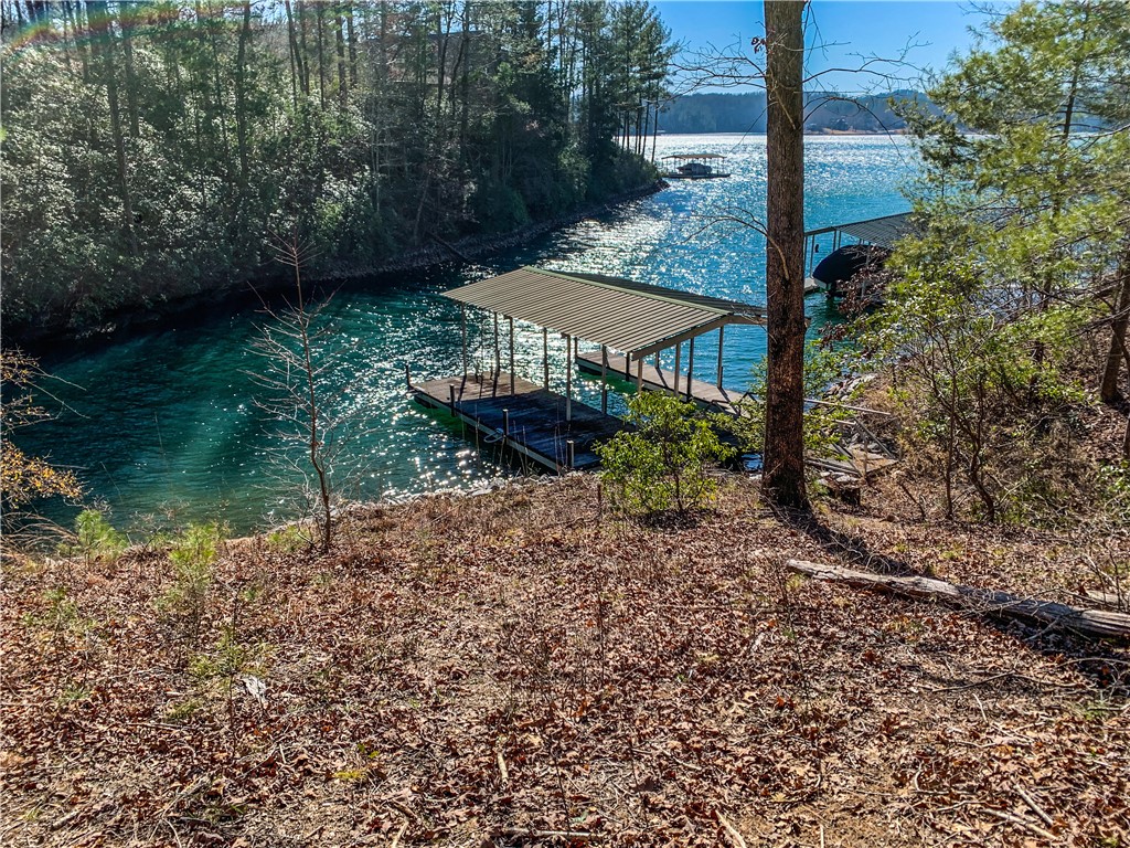 Property at S78 Red Buckeye Trail, Sunset, SC 29685