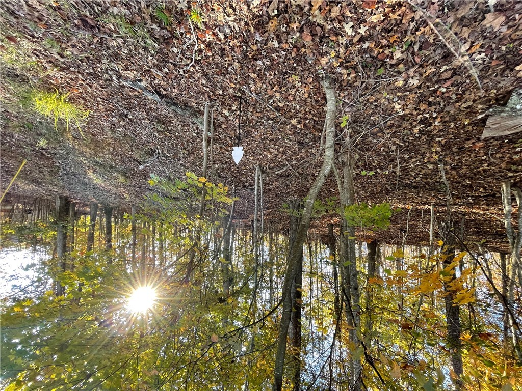 Lot 87 N Foxglove Road