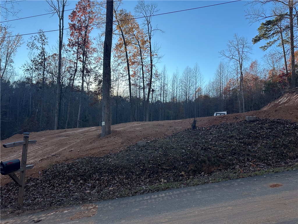 239 Brandywine Drive