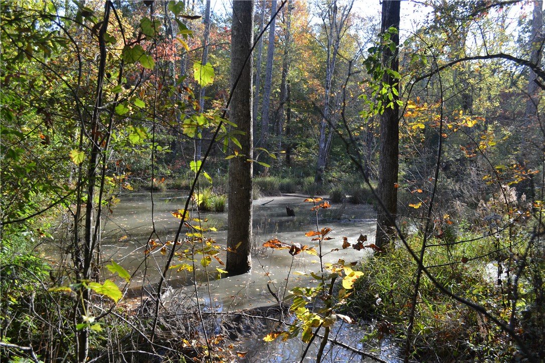 Lot 53 Stardust Lane