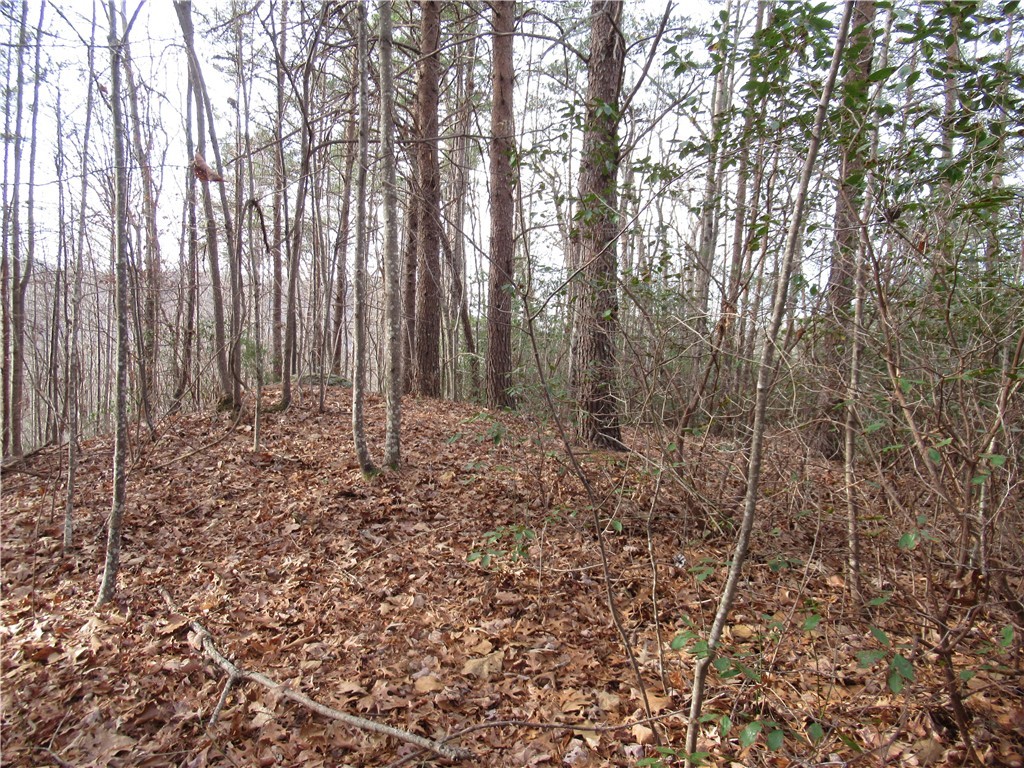 Rock At Jocassee, Pickens community