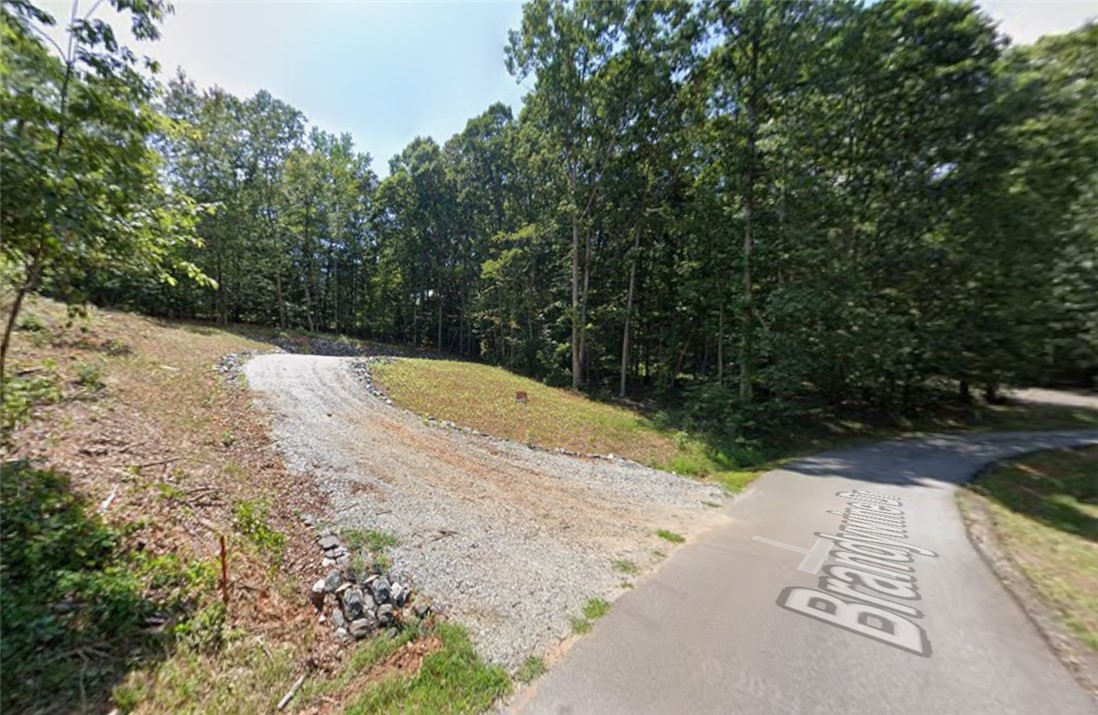 207 Brandywine Drive