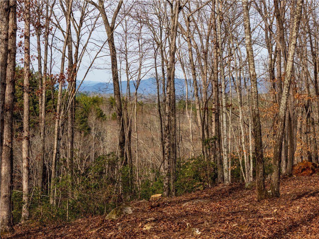 Lot 116 Pine Harbor Way