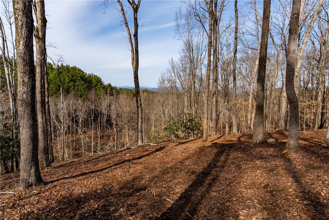 Lot 119 Pine Harbor Way