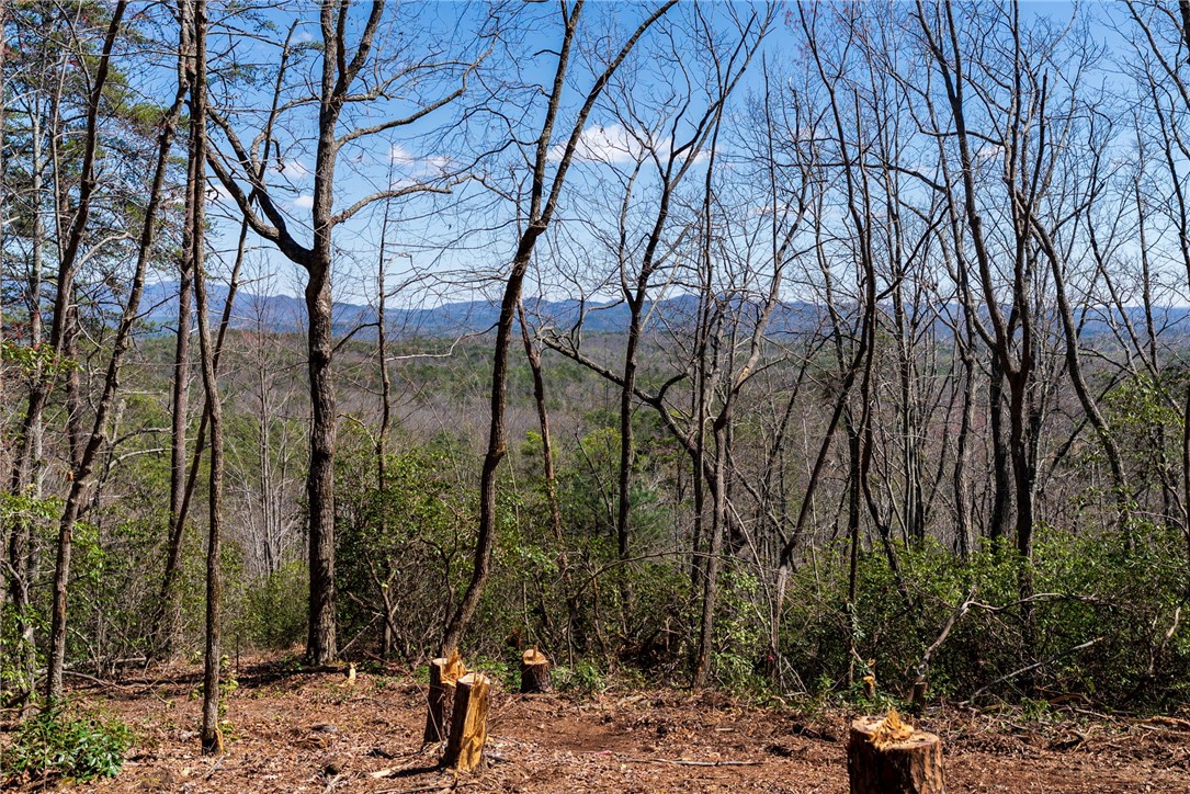 N30 & N31 Jocassee Ridge